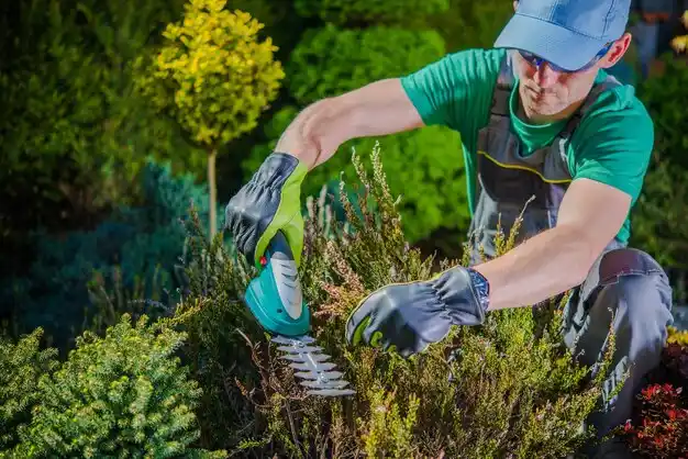landscaping services Hoosick Falls